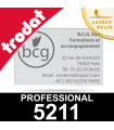 Empreinte Trodat Professional 5211